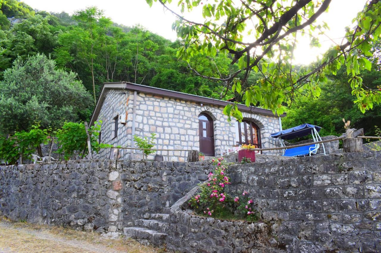 威尔帕扎Rent House Orahovo别墅 外观 照片